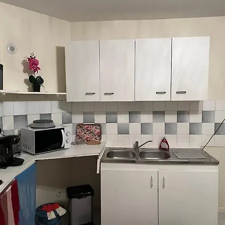 En Centre-ville 公寓 鲁瓦西昂法兰西