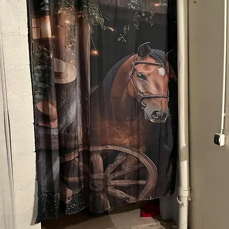 En Centre-ville 公寓 *